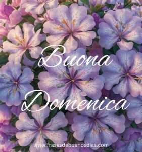 Buona Domenica