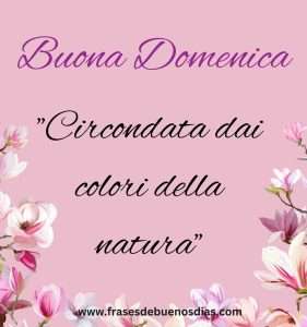 Buona Domenica